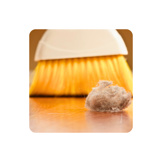 お手入れ不要って本当？｜ひのきろうずを長く楽しむためのポイント