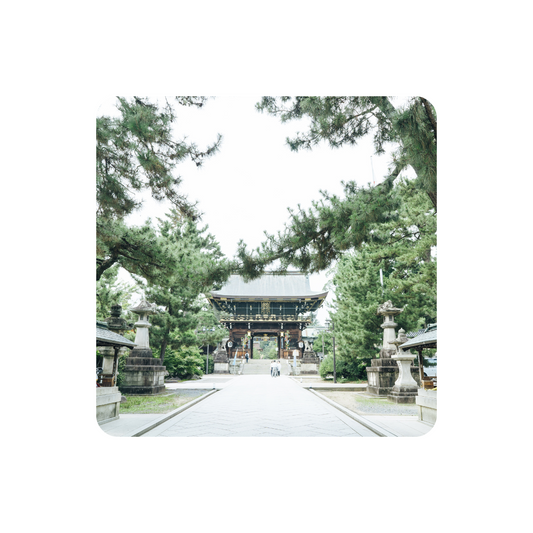 古くから愛されてきた日本の木｜ひのきの歴史と文化
